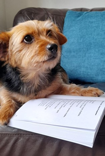 Bea Reading